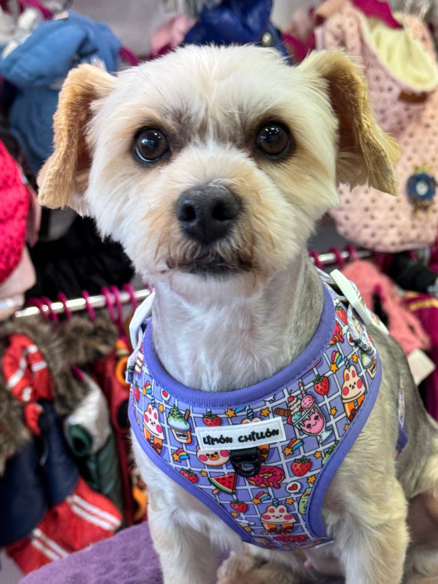 Arnés Ajustable CANDY YUKI