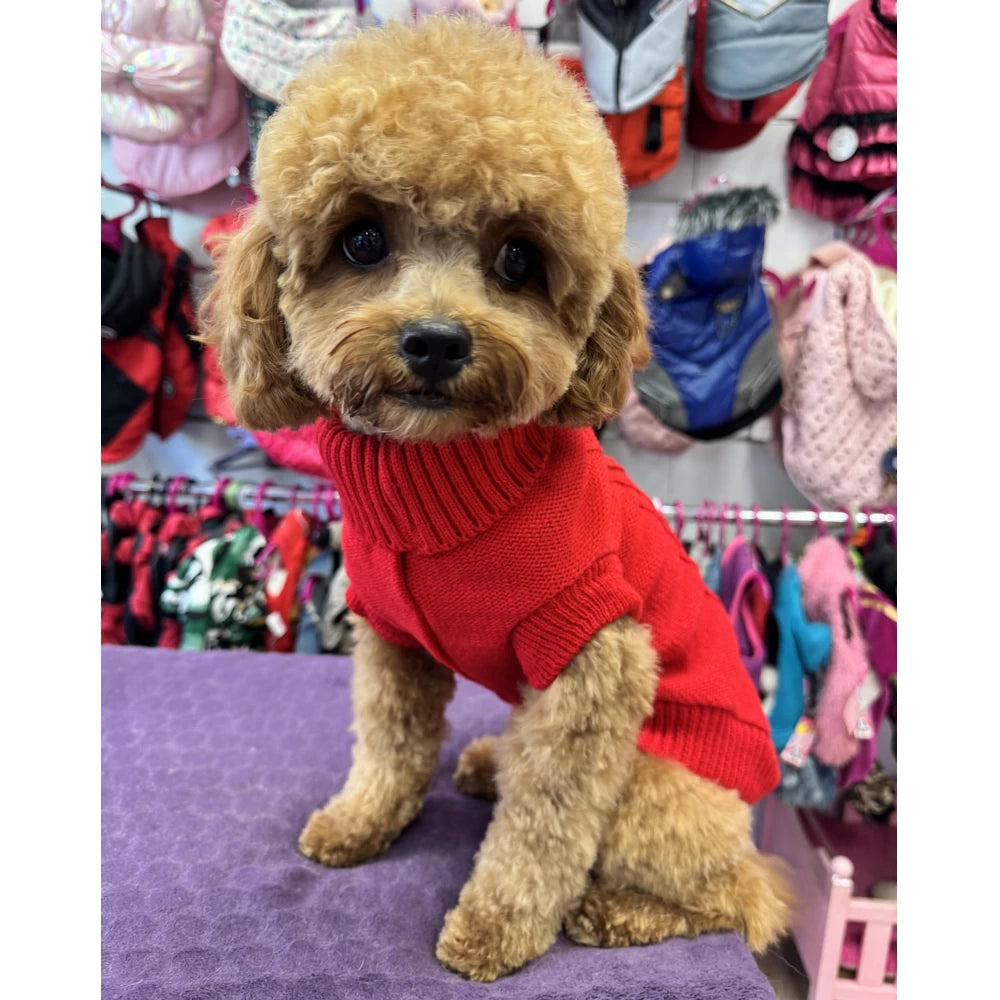 Jersey Mawis - Rojo