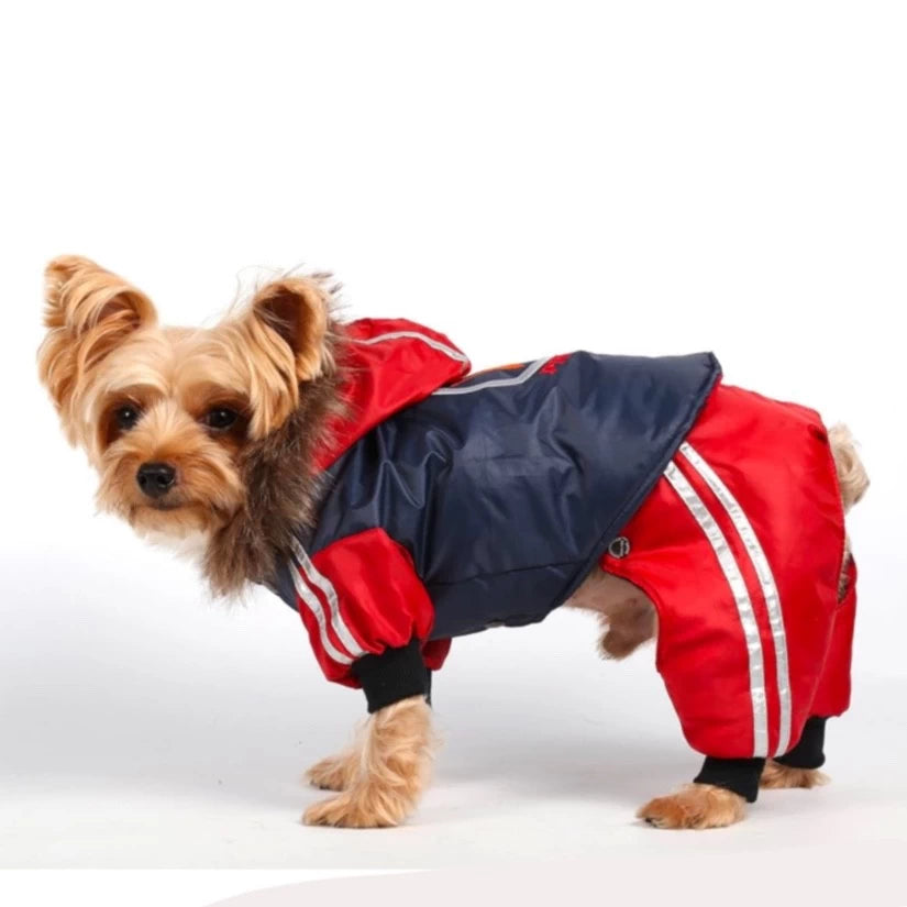 Rock&Roll Adjustable Harness