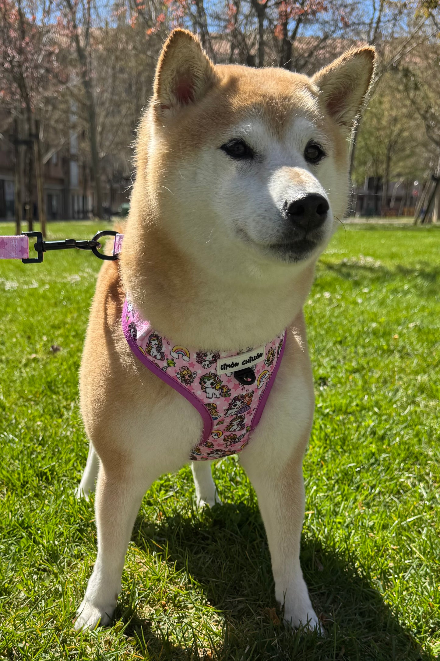 Arnés Ajustable MAYI QUEEN