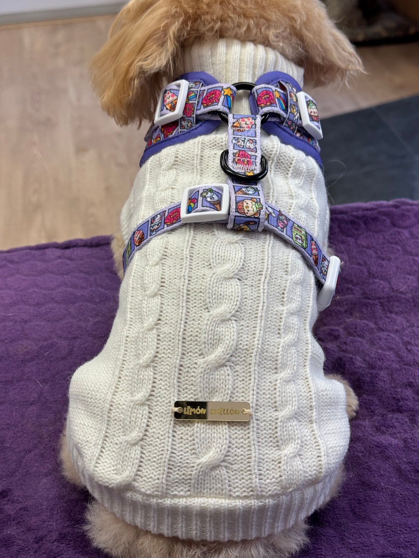 Rock&amp;Roll Adjustable Harness 