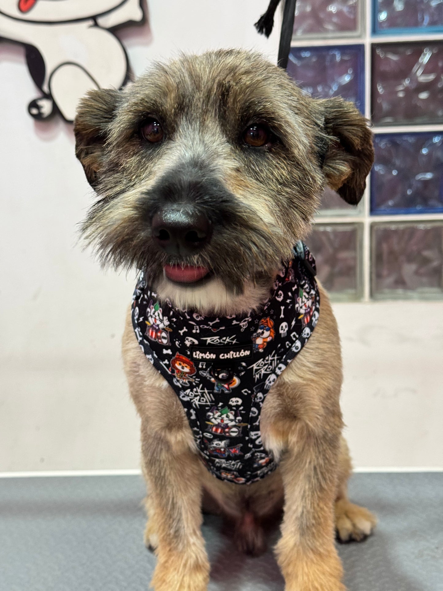 Arnés Ajustable TATI ROCK