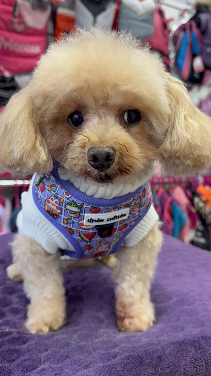 Rock&amp;Roll Adjustable Harness 