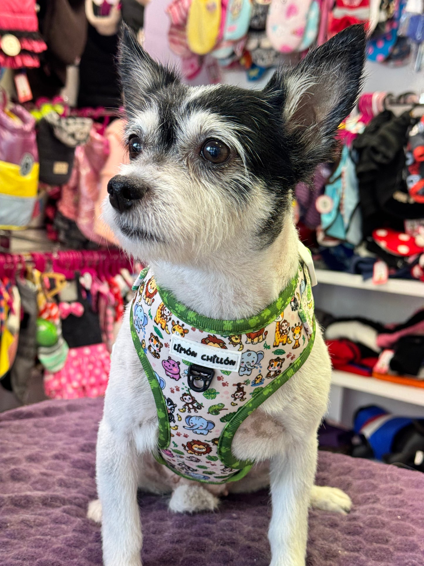 Arnés Ajustable MONKEY MEI