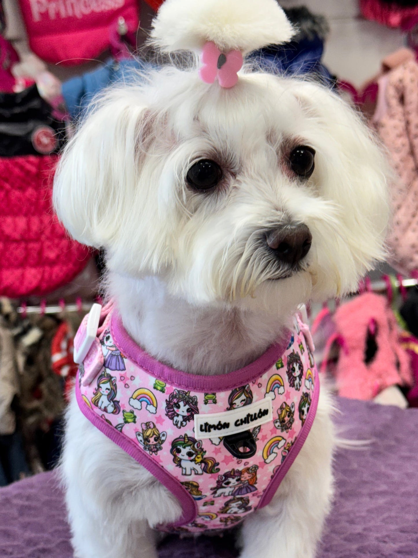 Arnés Ajustable MAYI QUEEN