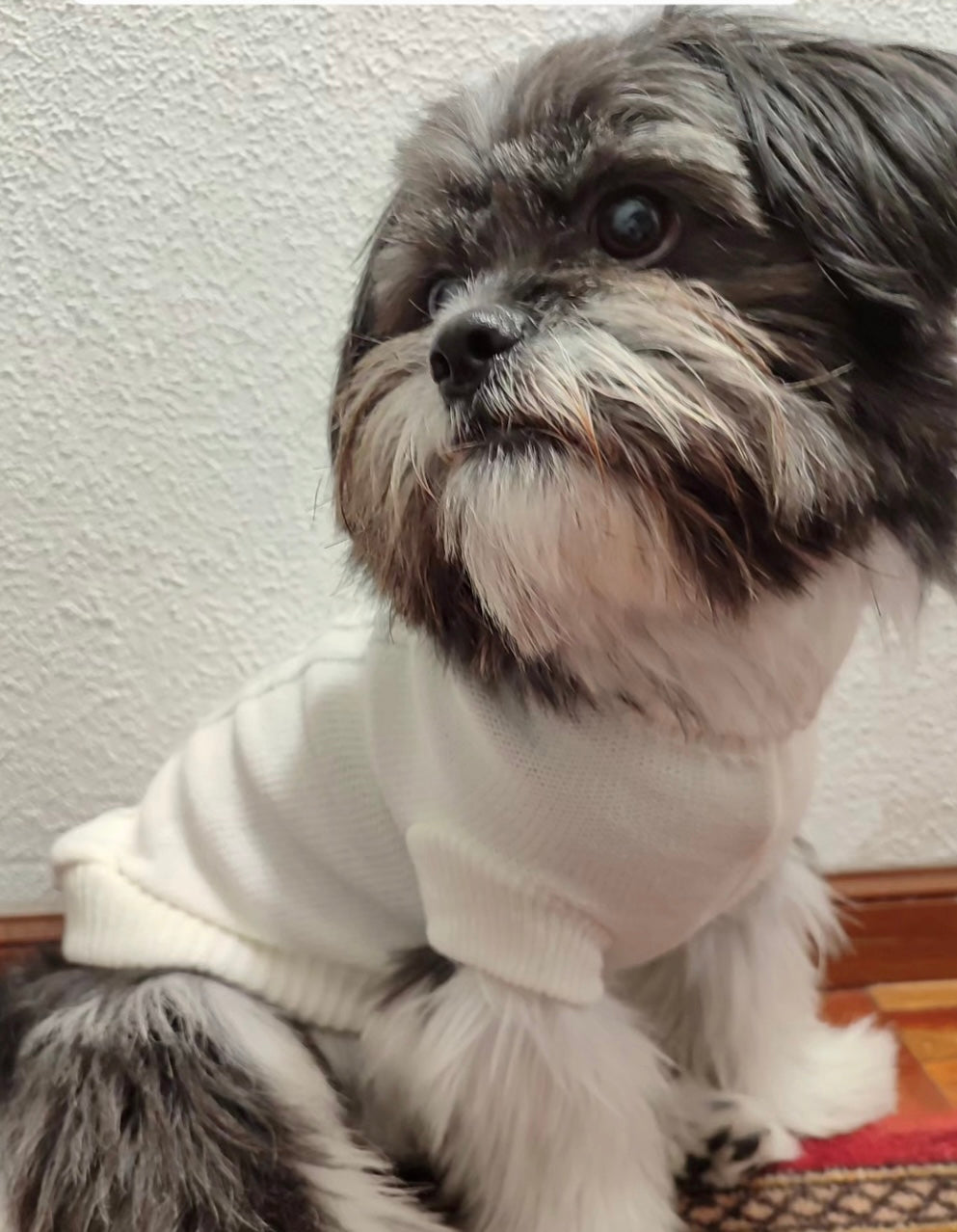 Rock&amp;Roll Adjustable Harness 