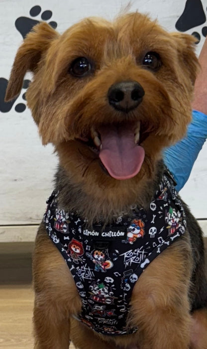 Arnés Ajustable TATI ROCK