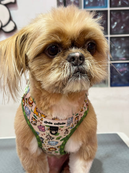 Arnés Ajustable MONKEY MEI